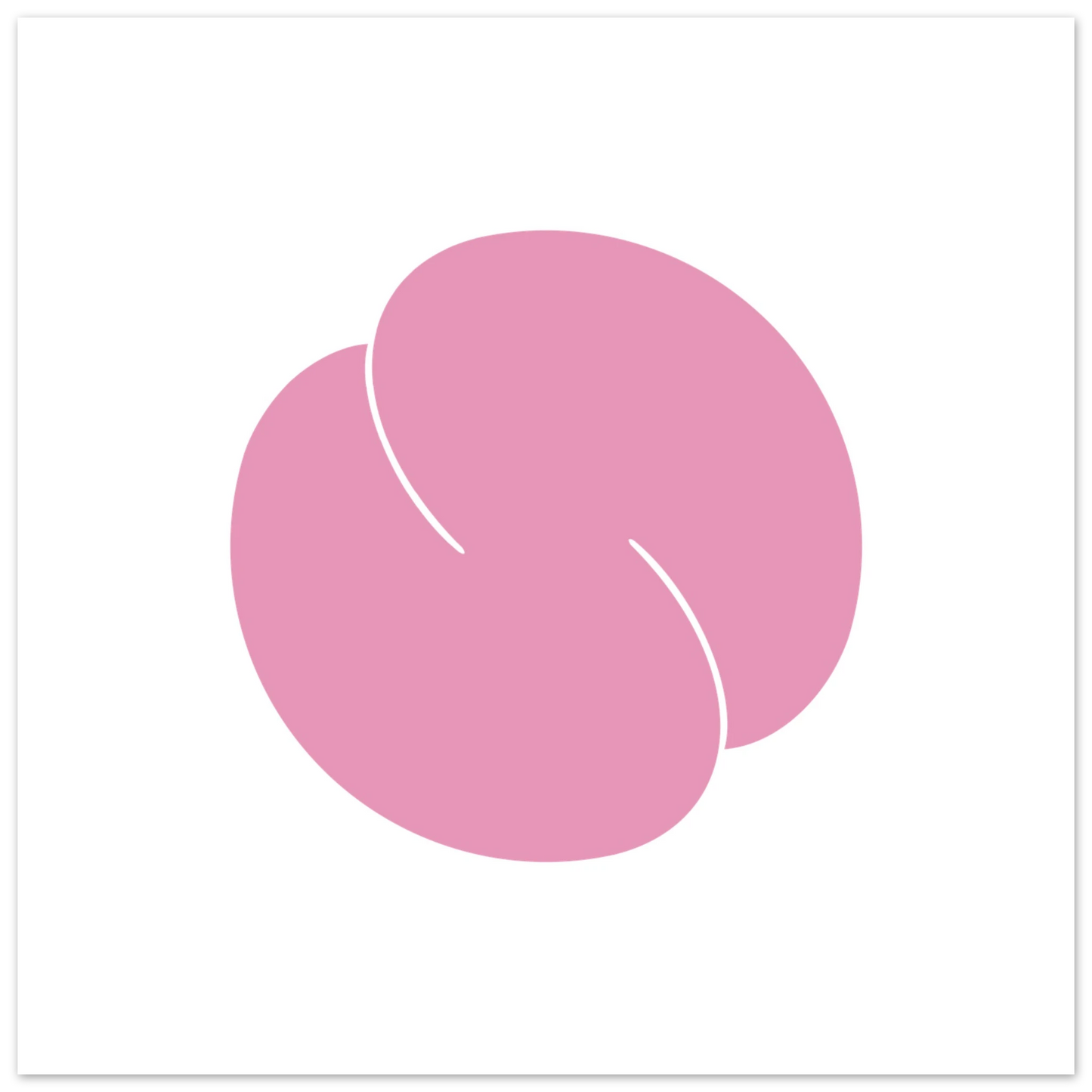 2391394f-080c-4e01-add0-cf4a28b74b26